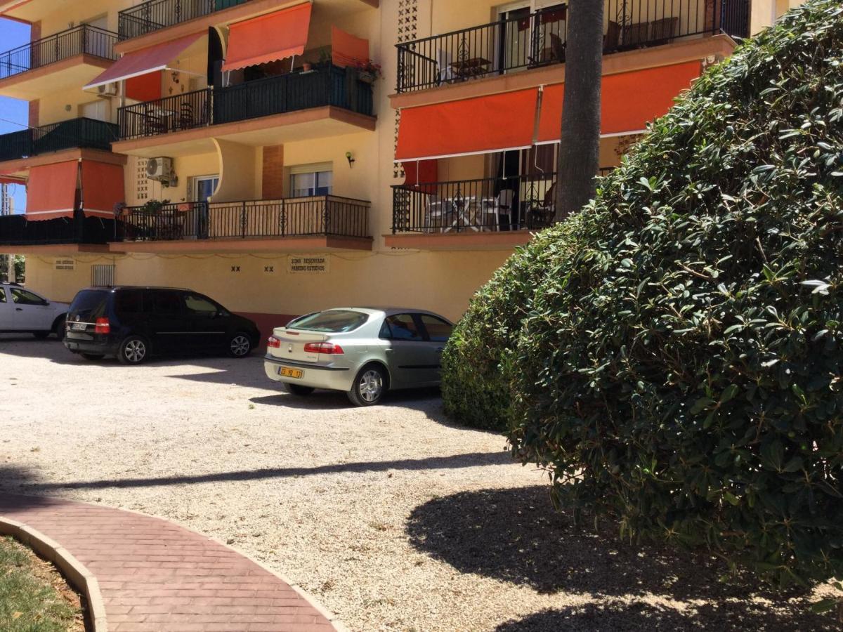 Apartman Denia